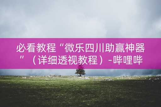必看教程“微乐四川助赢神器”（详细透视教程）-哔哩哔哩