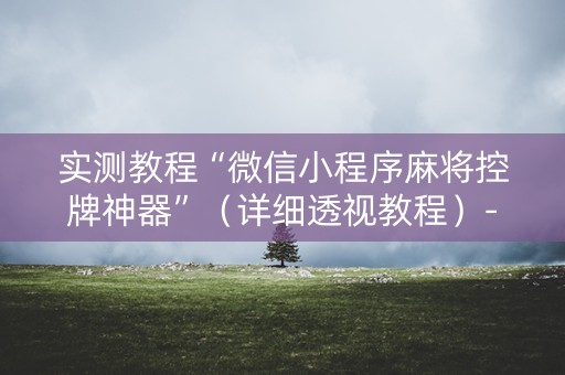 实测教程“微信小程序麻将控牌神器”（详细透视教程）-哔哩哔哩