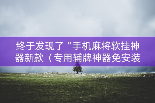 终于发现了“手机麻将软挂神器新款（专用辅牌神器免安装）