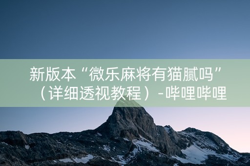 新版本“微乐麻将有猫腻吗”（详细透视教程）-哔哩哔哩