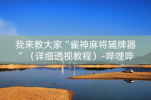 我来教大家“雀神麻将辅牌器”（详细透视教程）-哔哩哔哩