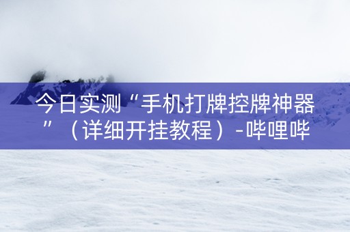 今日实测“手机打牌控牌神器”（详细开挂教程）-哔哩哔哩