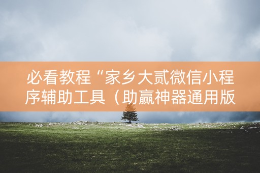 必看教程“家乡大贰微信小程序辅助工具（助赢神器通用版）