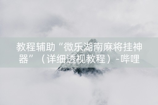 教程辅助“微乐湖南麻将挂神器”（详细透视教程）-哔哩哔哩