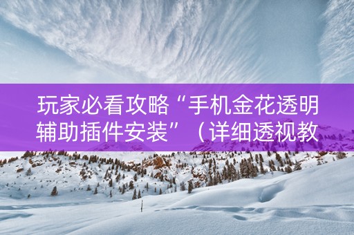 玩家必看攻略“手机金花透明辅助插件安装”（详细透视教程）-哔哩哔哩