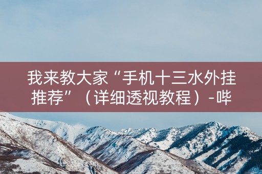 我来教大家“手机十三水外挂推荐”（详细透视教程）-哔哩哔哩