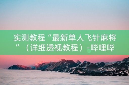 实测教程“最新单人飞针麻将”（详细透视教程）-哔哩哔哩