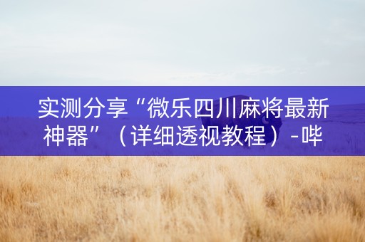实测分享“微乐四川麻将最新神器”（详细透视教程）-哔哩哔哩