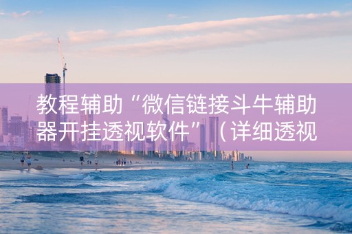教程辅助“微信链接斗牛辅助器开挂透视软件”（详细透视教程）-哔哩哔哩