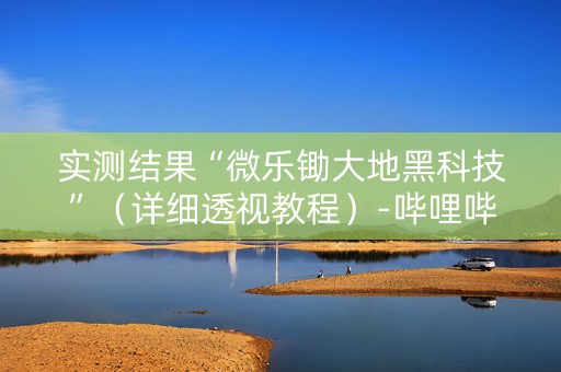 实测结果“微乐锄大地黑科技”（详细透视教程）-哔哩哔哩