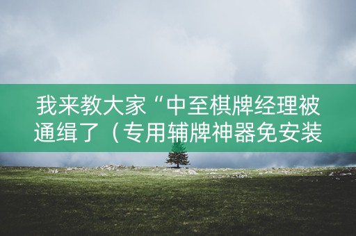 我来教大家“中至棋牌经理被通缉了（专用辅牌神器免安装）