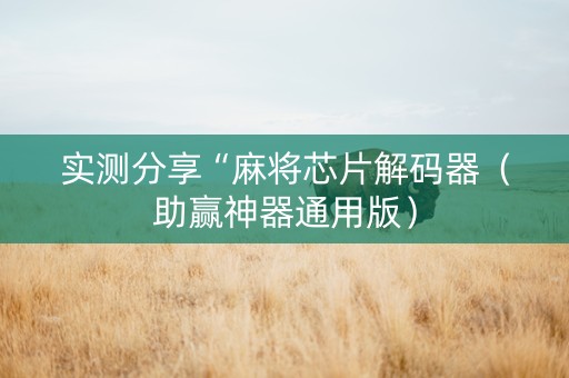 实测分享“麻将芯片解码器（助赢神器通用版）