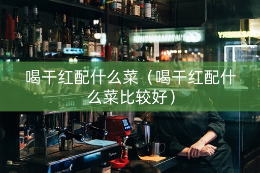 喝干红配什么菜（喝干红配什么菜比较好）