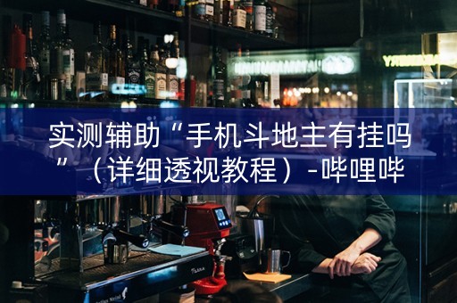 实测辅助“手机斗地主有挂吗”（详细透视教程）-哔哩哔哩