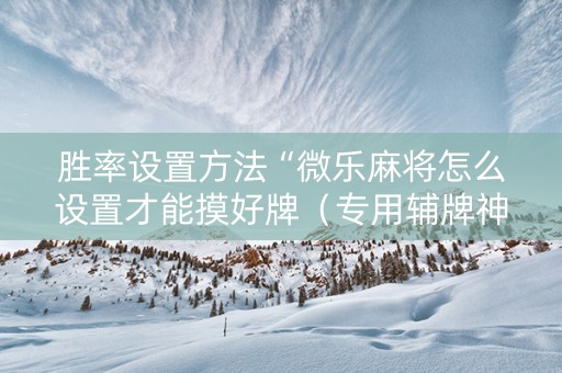 胜率设置方法“微乐麻将怎么设置才能摸好牌（专用辅牌神器免安装）