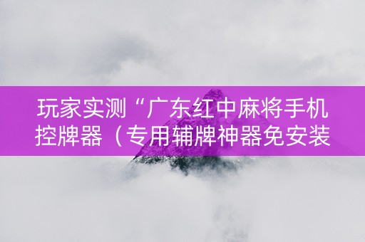 玩家实测“广东红中麻将手机控牌器（专用辅牌神器免安装）