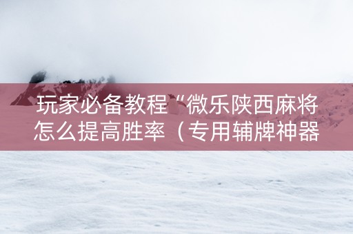 玩家必备教程“微乐陕西麻将怎么提高胜率（专用辅牌神器免安装）