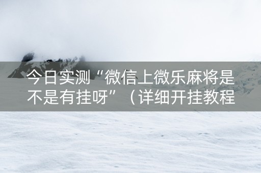 今日实测“微信上微乐麻将是不是有挂呀”（详细开挂教程）-哔哩哔哩