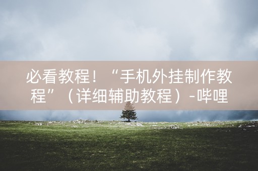 必看教程！“手机外挂制作教程”（详细辅助教程）-哔哩哔哩