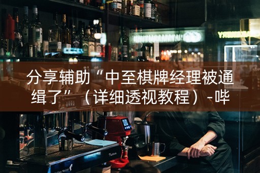 分享辅助“中至棋牌经理被通缉了”（详细透视教程）-哔哩哔哩