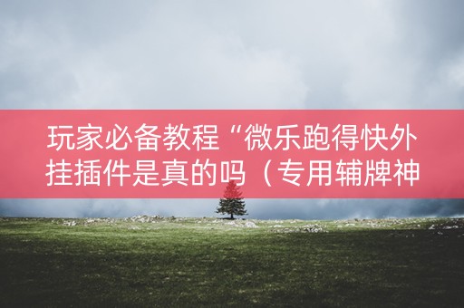 玩家必备教程“微乐跑得快外挂插件是真的吗（专用辅牌神器免安装）