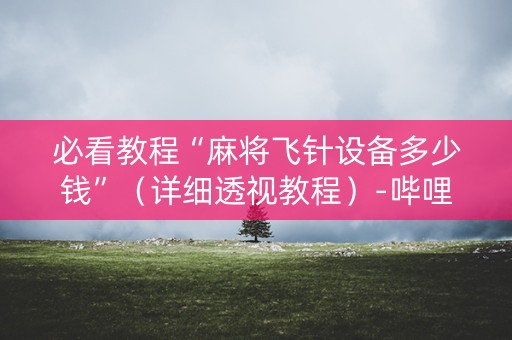 必看教程“麻将飞针设备多少钱”（详细透视教程）-哔哩哔哩