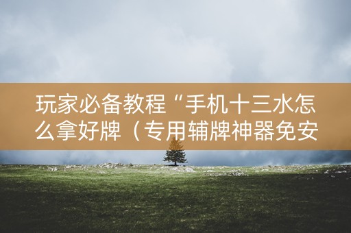 玩家必备教程“手机十三水怎么拿好牌（专用辅牌神器免安装）