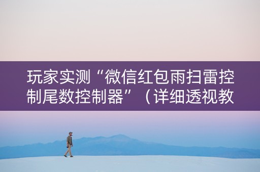 玩家实测“微信红包雨扫雷控制尾数控制器”（详细透视教程）-哔哩哔哩