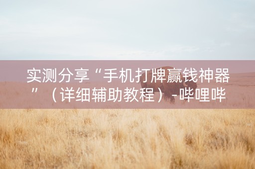 实测分享“手机打牌赢钱神器”（详细辅助教程）-哔哩哔哩