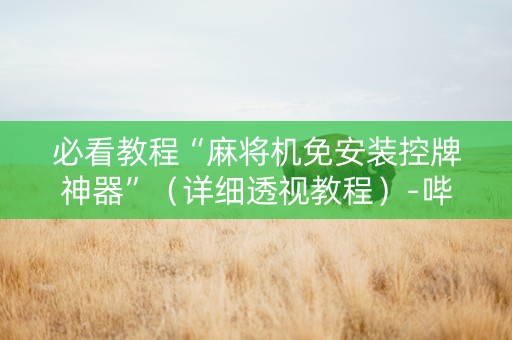 必看教程“麻将机免安装控牌神器”（详细透视教程）-哔哩哔哩