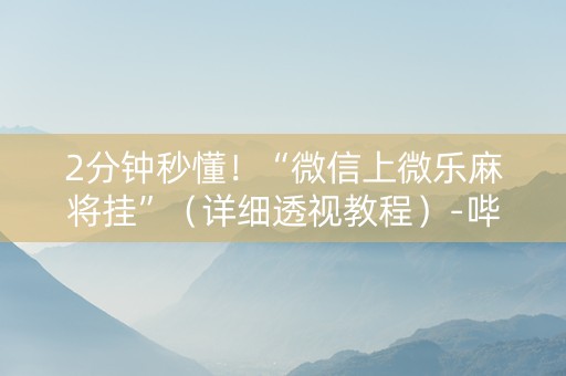 2分钟秒懂！“微信上微乐麻将挂”（详细透视教程）-哔哩哔哩