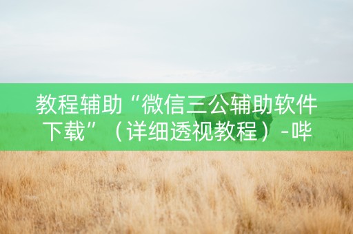 教程辅助“微信三公辅助软件下载”（详细透视教程）-哔哩哔哩