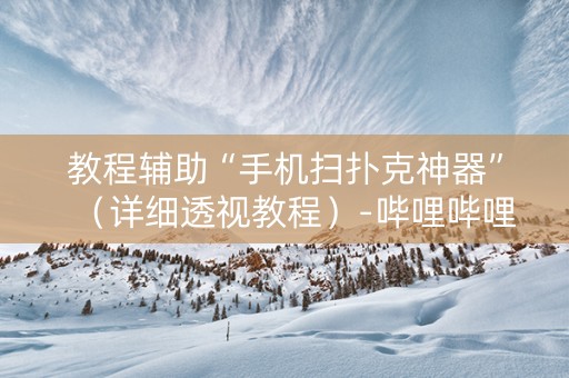 教程辅助“手机扫扑克神器”（详细透视教程）-哔哩哔哩