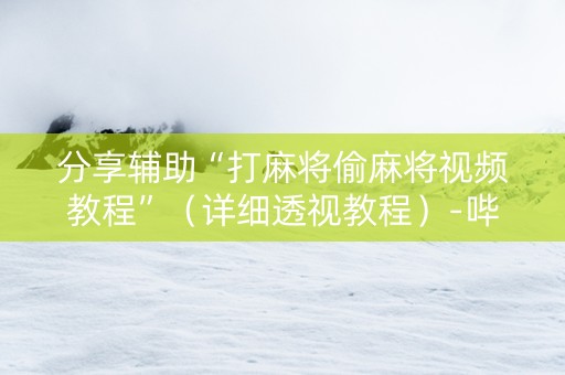 分享辅助“打麻将偷麻将视频教程”（详细透视教程）-哔哩哔哩