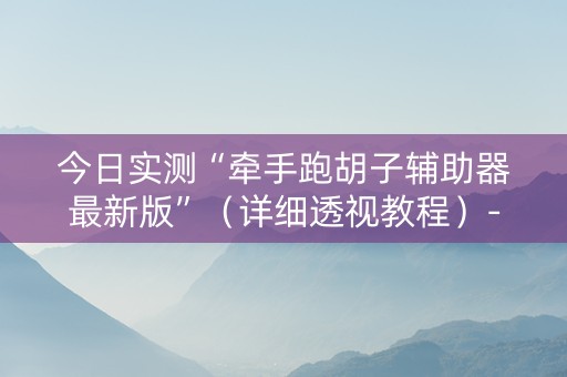 今日实测“牵手跑胡子辅助器最新版”（详细透视教程）-哔哩哔哩
