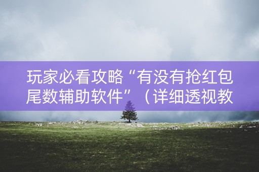 玩家必看攻略“有没有抢红包尾数辅助软件”（详细透视教程）-哔哩哔哩