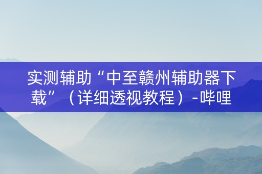 实测辅助“中至赣州辅助器下载”（详细透视教程）-哔哩哔哩