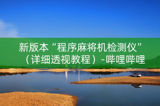 新版本“程序麻将机检测仪”（详细透视教程）-哔哩哔哩