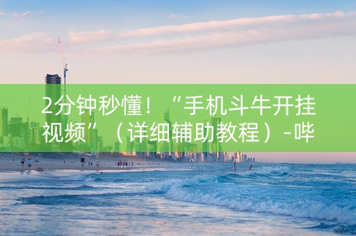 2分钟秒懂！“手机斗牛开挂视频”（详细辅助教程）-哔哩哔哩