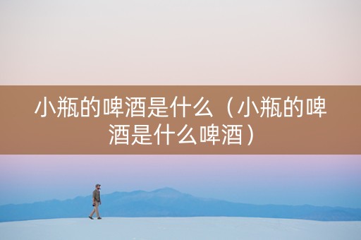 小瓶的啤酒是什么（小瓶的啤酒是什么啤酒）