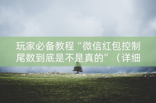 玩家必备教程“微信红包控制尾数到底是不是真的”（详细透视教程）-哔哩哔哩