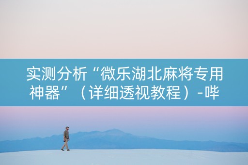 实测分析“微乐湖北麻将专用神器”（详细透视教程）-哔哩哔哩