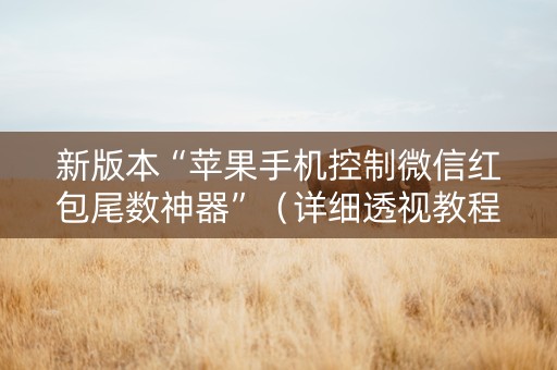 新版本“苹果手机控制微信红包尾数神器”（详细透视教程）-哔哩哔哩