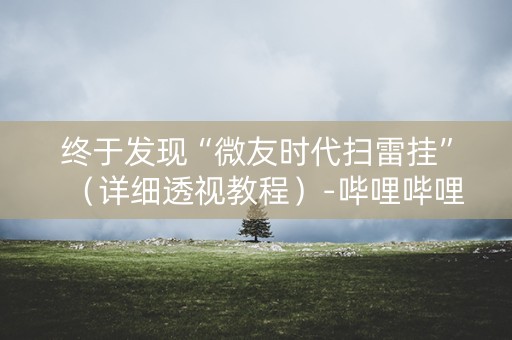 终于发现“微友时代扫雷挂”（详细透视教程）-哔哩哔哩