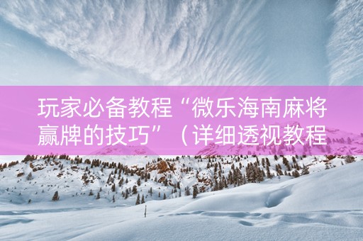 玩家必备教程“微乐海南麻将赢牌的技巧”（详细透视教程）-哔哩哔哩