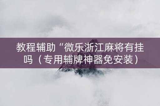 教程辅助“微乐浙江麻将有挂吗（专用辅牌神器免安装）