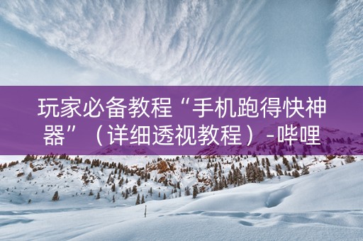 玩家必备教程“手机跑得快神器”（详细透视教程）-哔哩哔哩