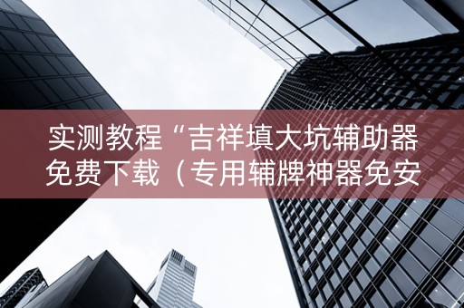 实测教程“吉祥填大坑辅助器免费下载（专用辅牌神器免安装）