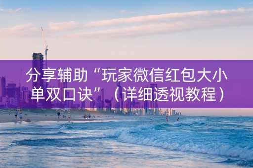 分享辅助“玩家微信红包大小单双口诀”（详细透视教程）-哔哩哔哩