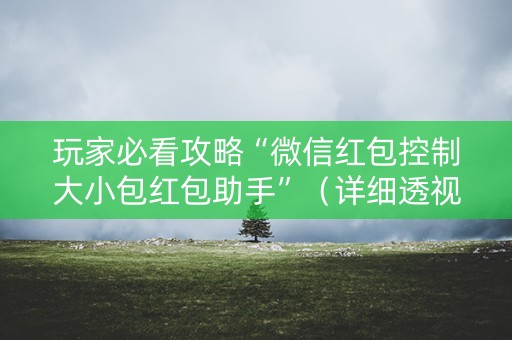 玩家必看攻略“微信红包控制大小包红包助手”（详细透视教程）-哔哩哔哩